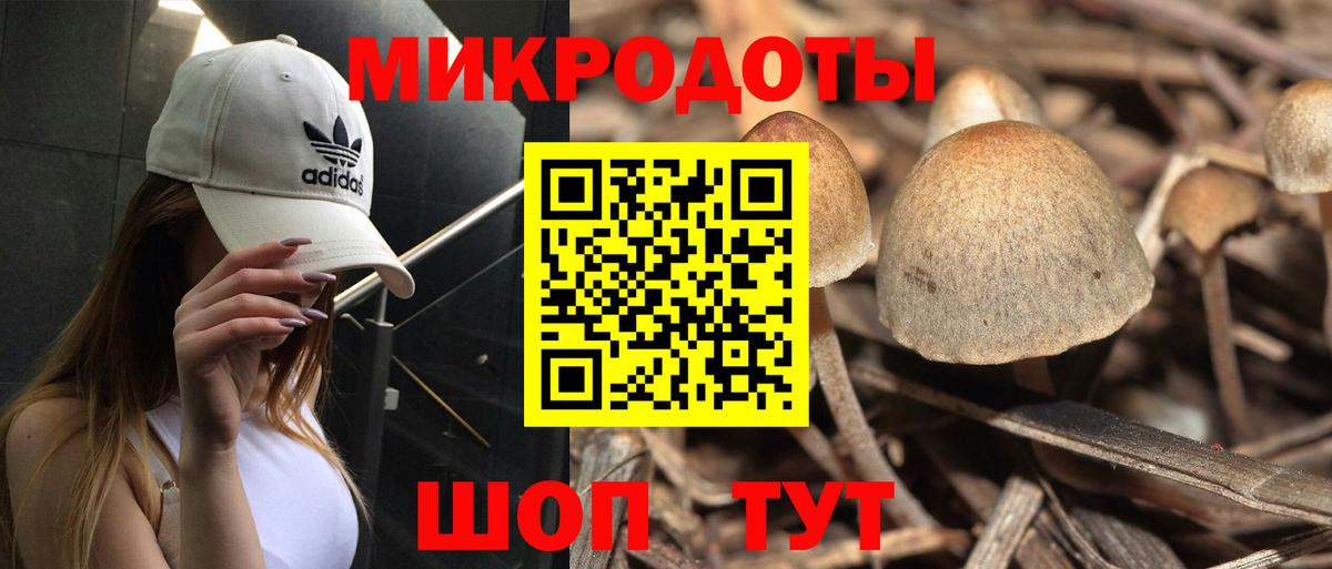 Псилоцибиновые грибы Psilocybine cubensis Воткинск