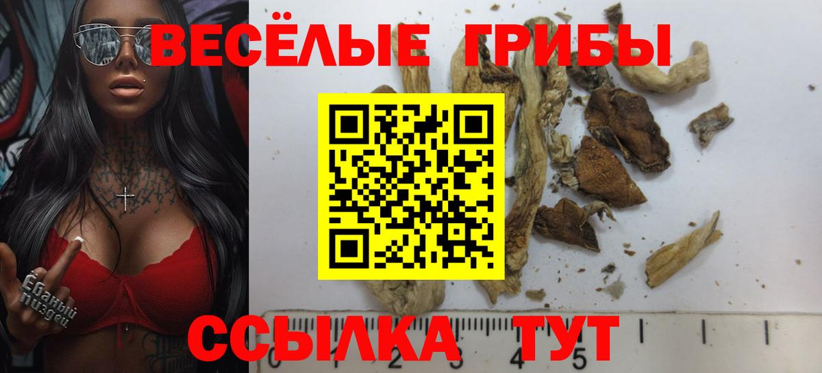 Воткинск  Псилоцибиновые грибы Psilocybe  Вход с VPN 
